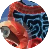 Painless Colonoscopy