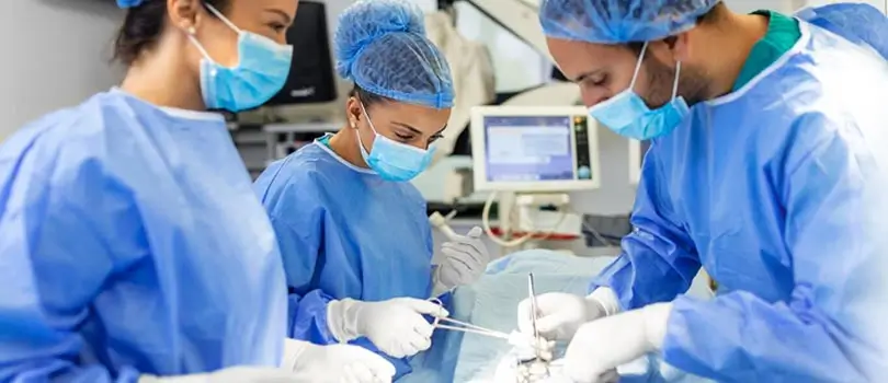 Stapled hemorrhoidectomy treatment process
